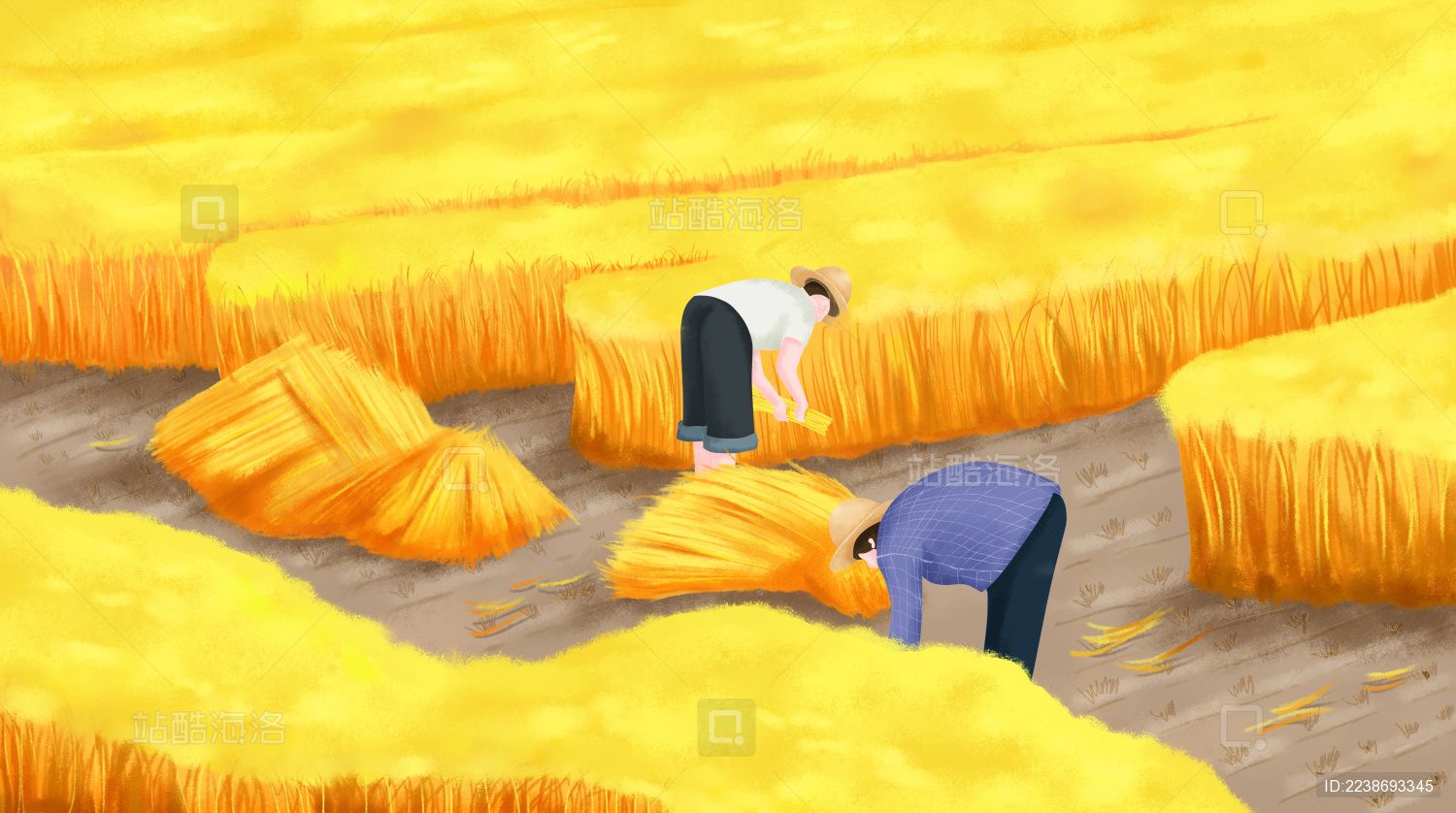 秋分节气农民们在稻田里面收割成熟的稻子插