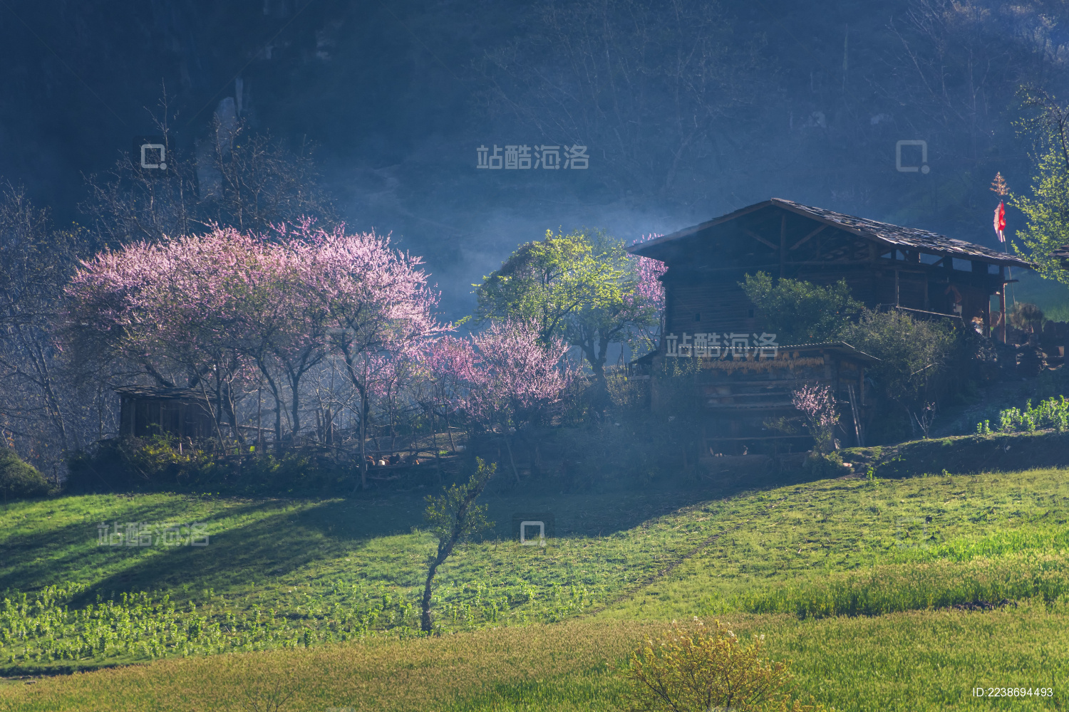 中国云南怒江贡山县丙中诺雾里村春天的风光