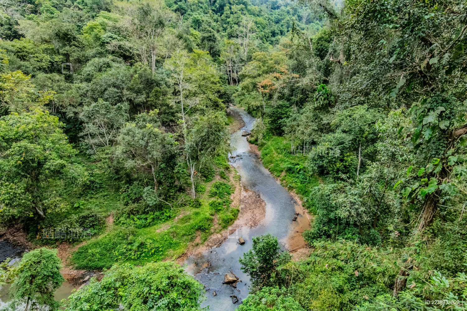 中国云南省景洪市野象谷国家森林公园景区