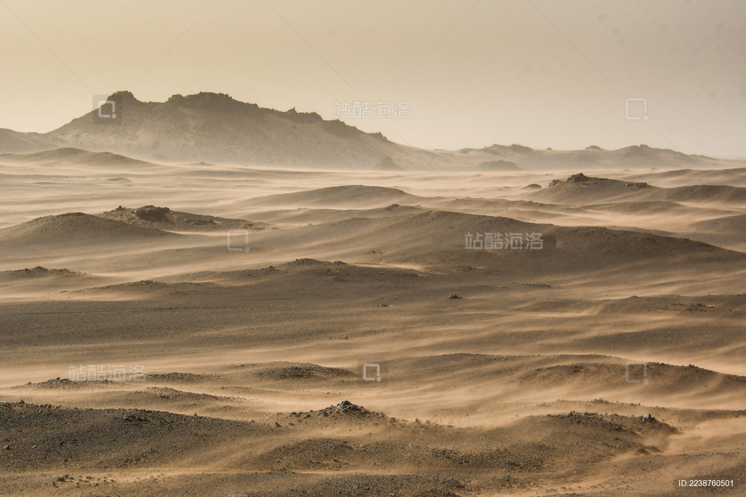 中国新疆若羌沙漠戈壁滩