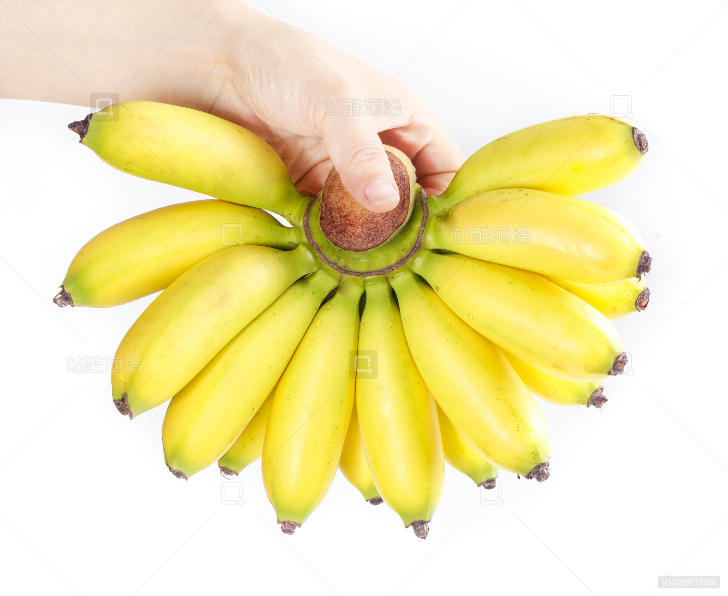 手上提着一串小米蕉