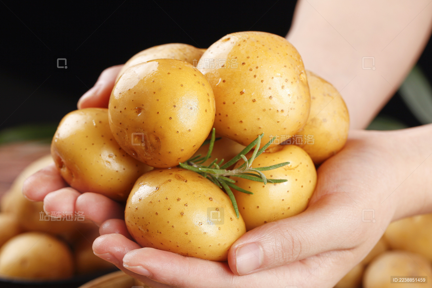 孜然小土豆怎么做_孜然小土豆的做法_豆果美食