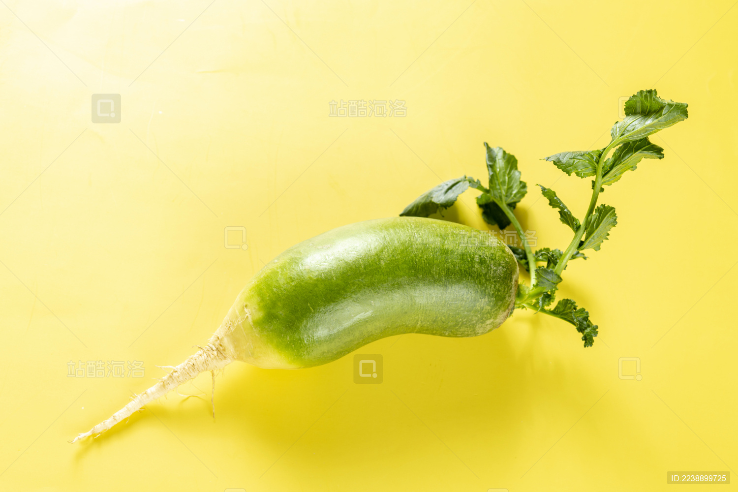 保健蔬菜青萝卜特写黄色莫兰迪色系背景