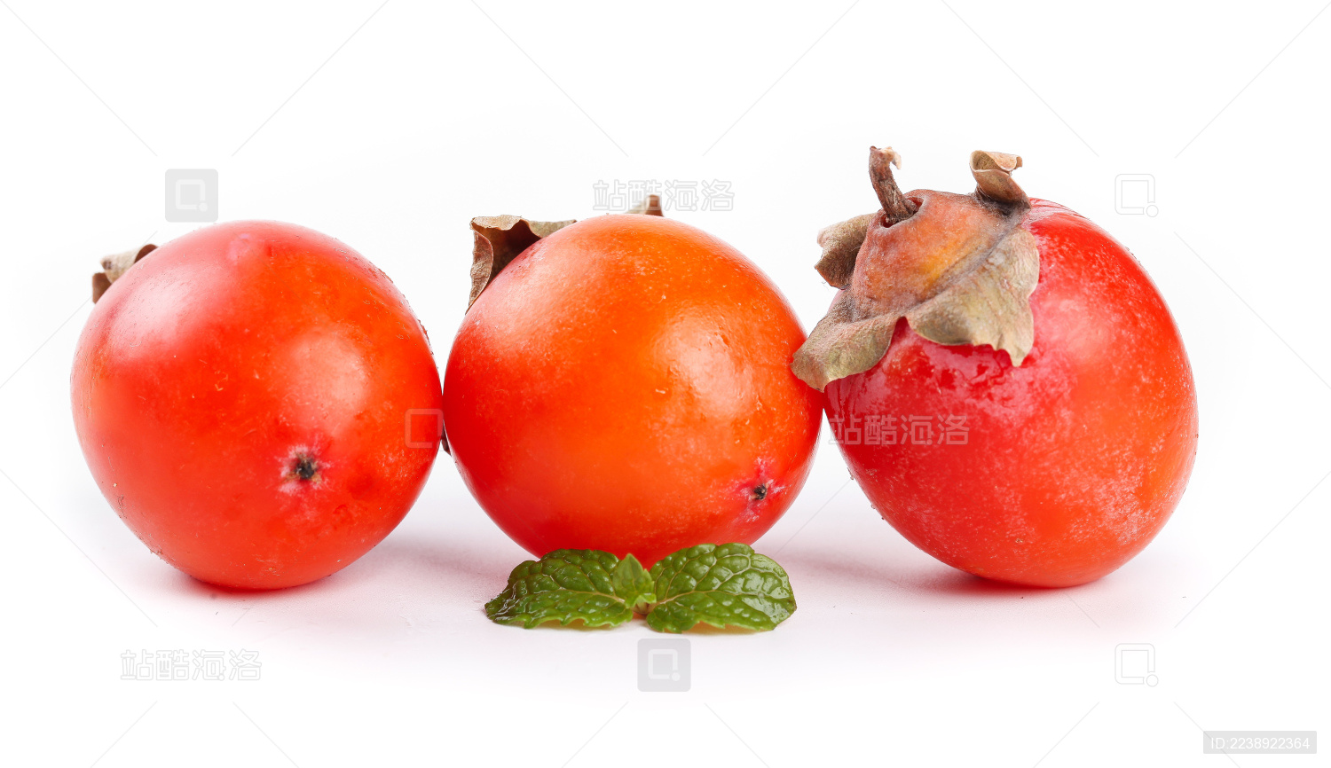 白底上放着三个临潼火晶柿子