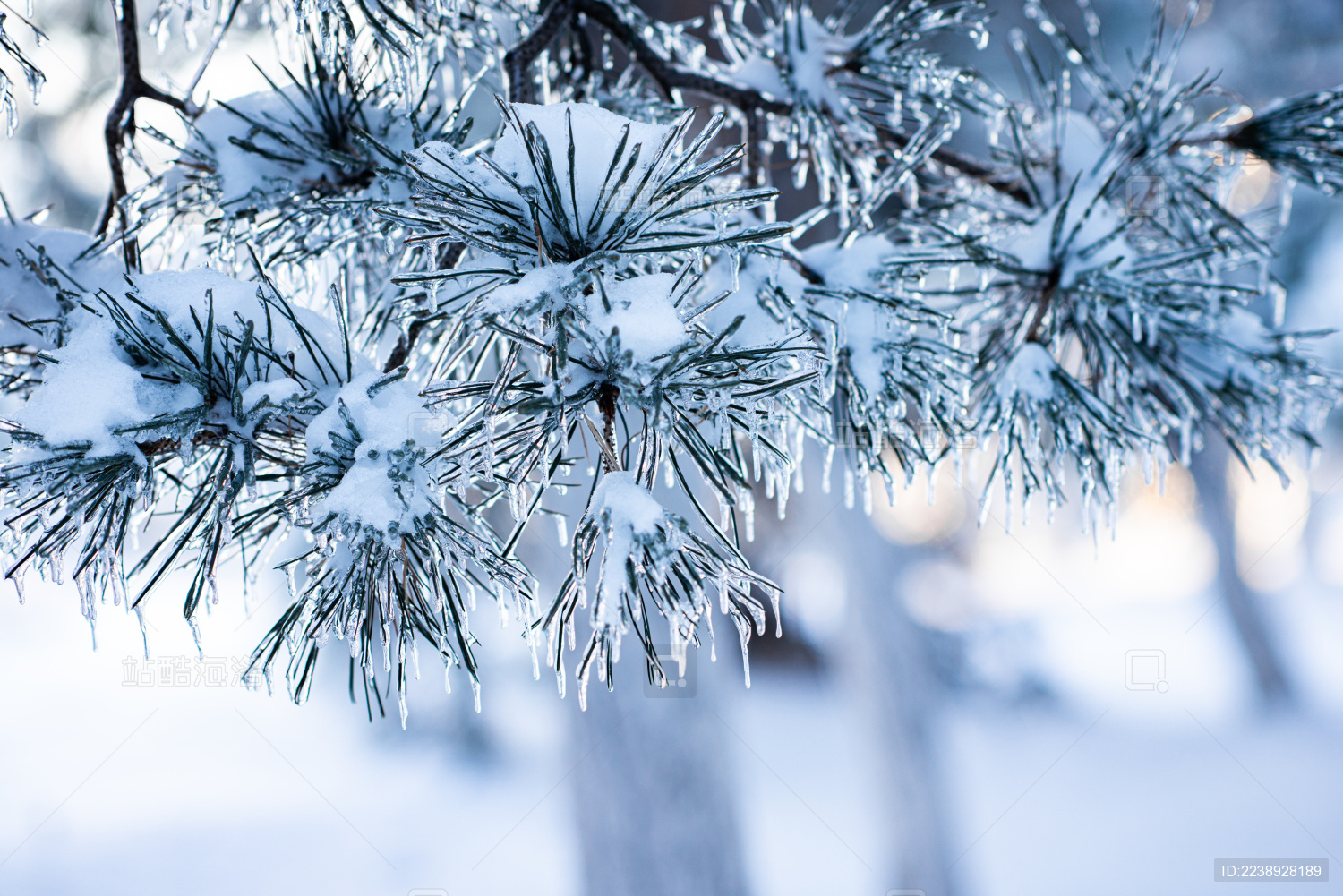 冬天冰雪过后的雪地