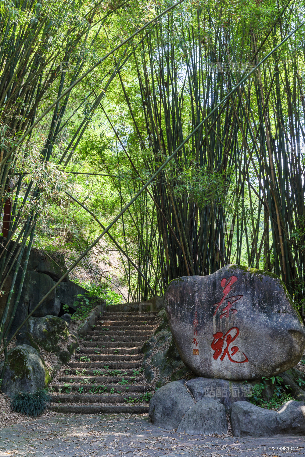 中国福建武夷山大王峰景区风光