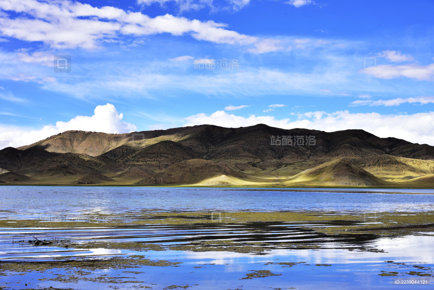 中国西藏羊卓雍措湖南岸的自然风光