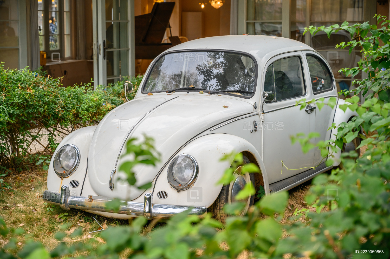 被植被围住的复古老爷车