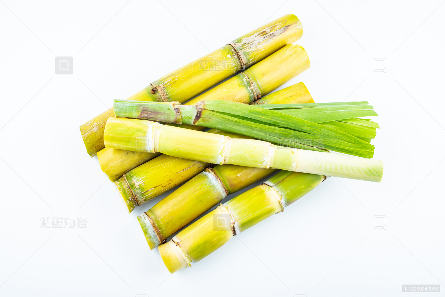 白背景上的新鲜黄皮甘蔗