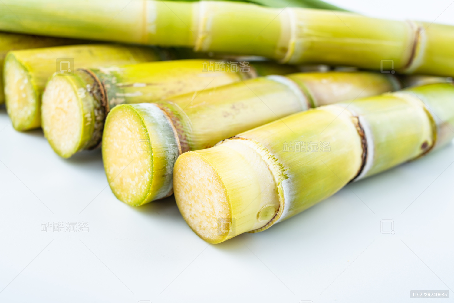 白背景上的新鲜黄皮甘蔗