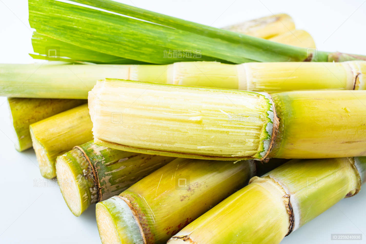 新鲜黄皮甘蔗特写