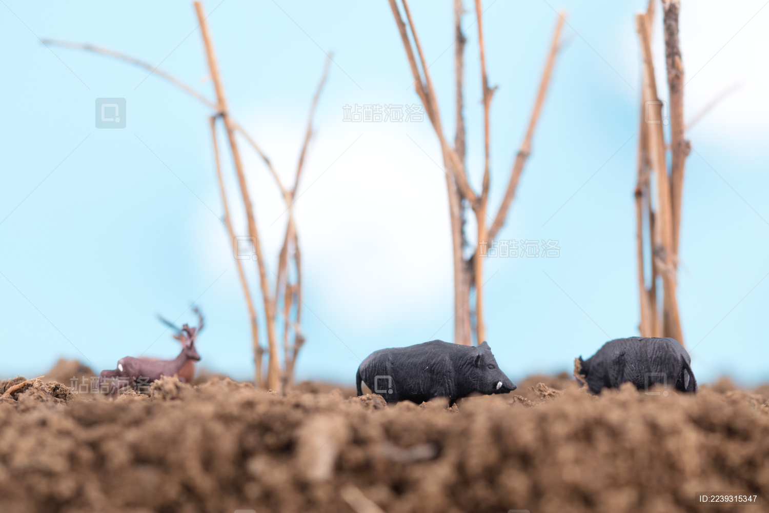 春天刚栽好树旁的野生动物