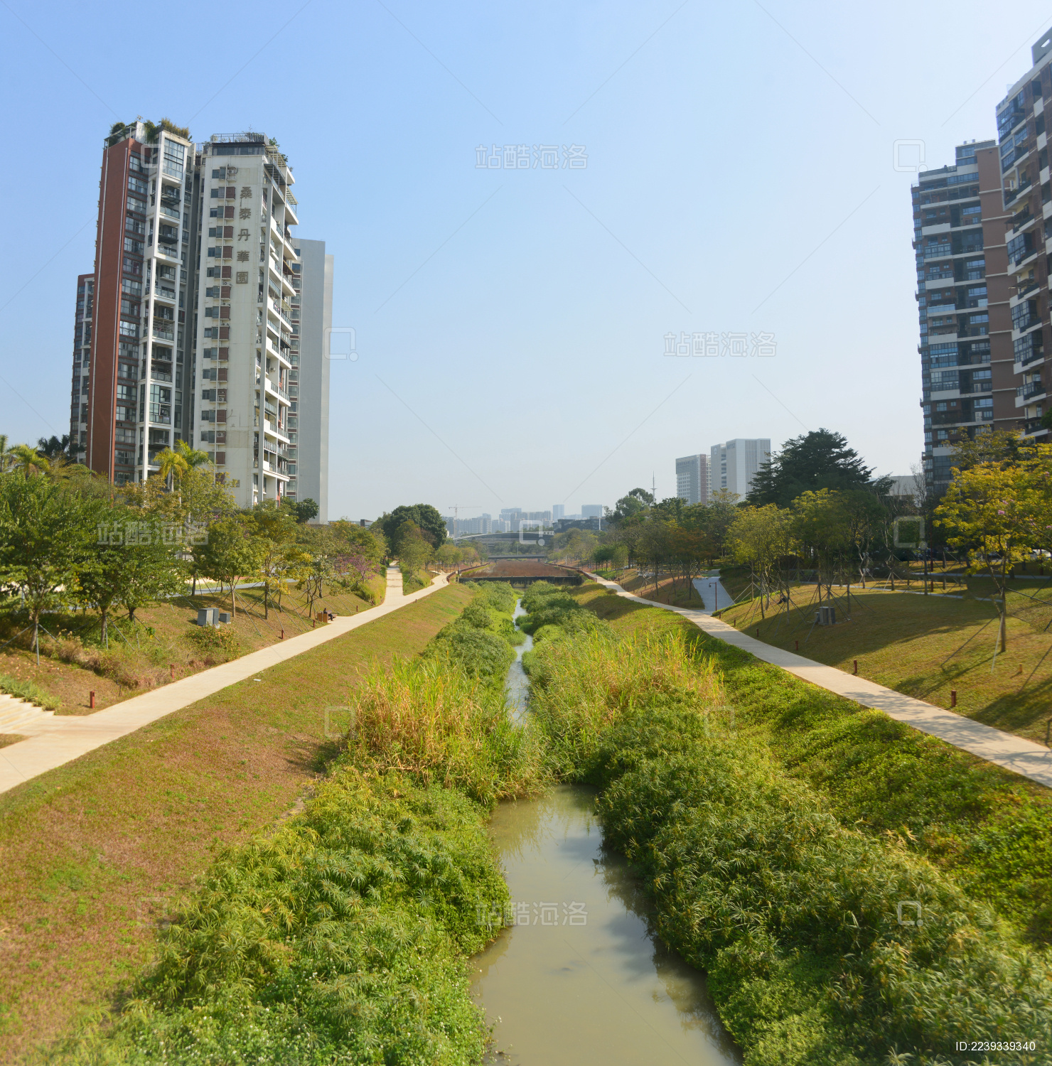 中国广东深圳西丽大学城城市河流大沙河