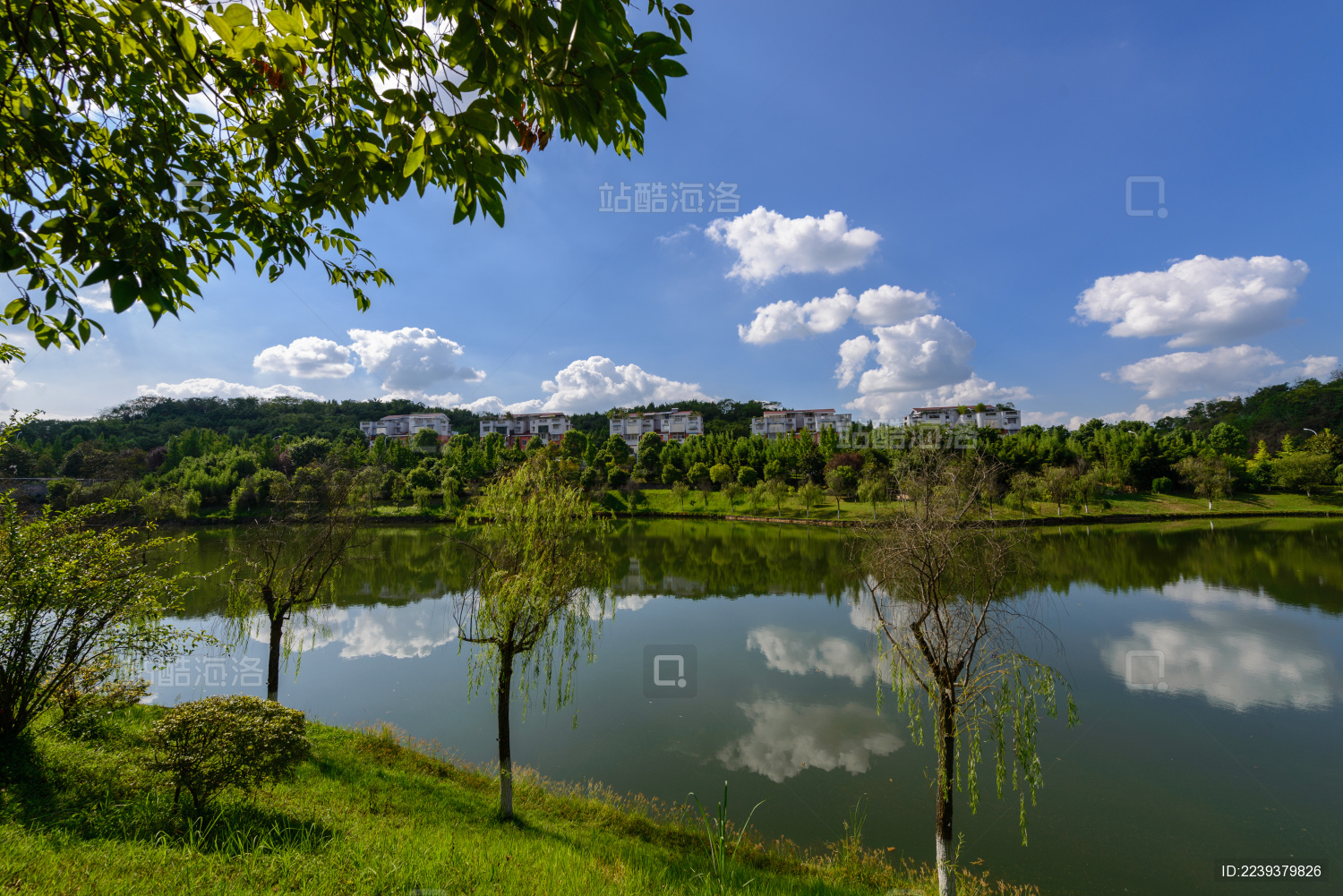 中国四川西华师范大学校园风光