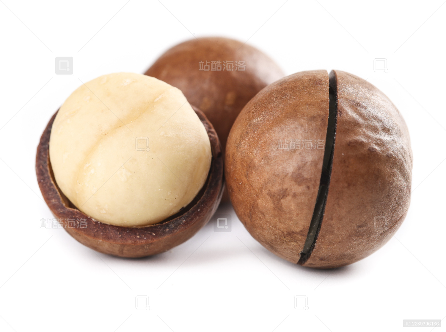 白底上的大颗夏威夷果