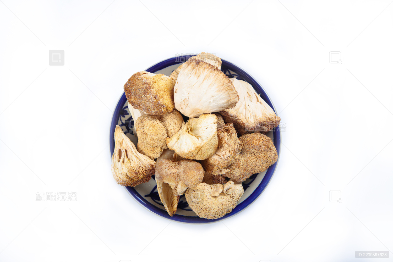 天然山珍野生菌食材猴头菌干品