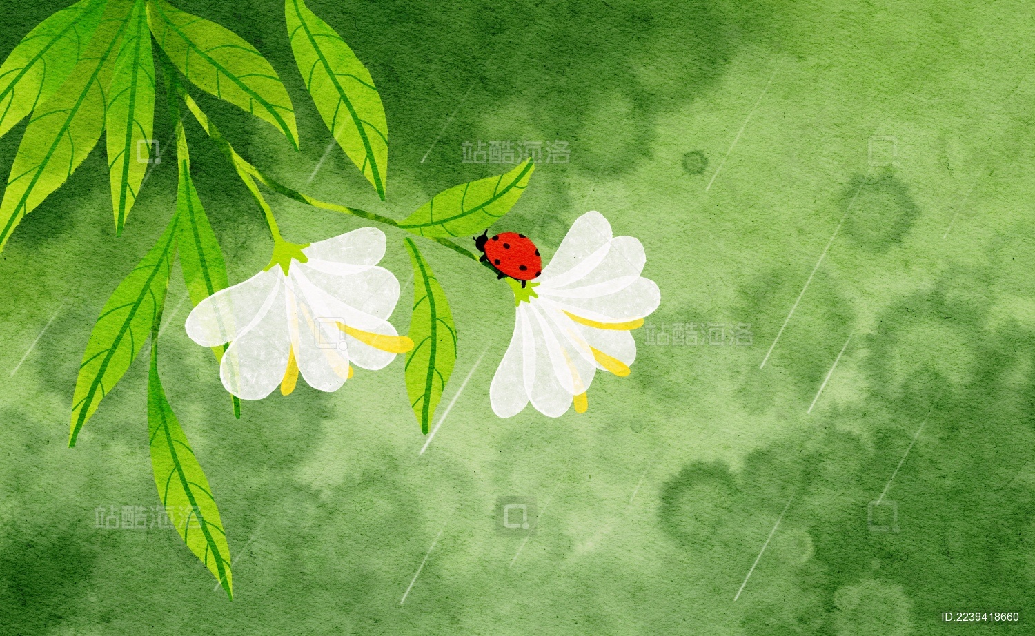 春天花朵上的七星瓢虫水彩插画