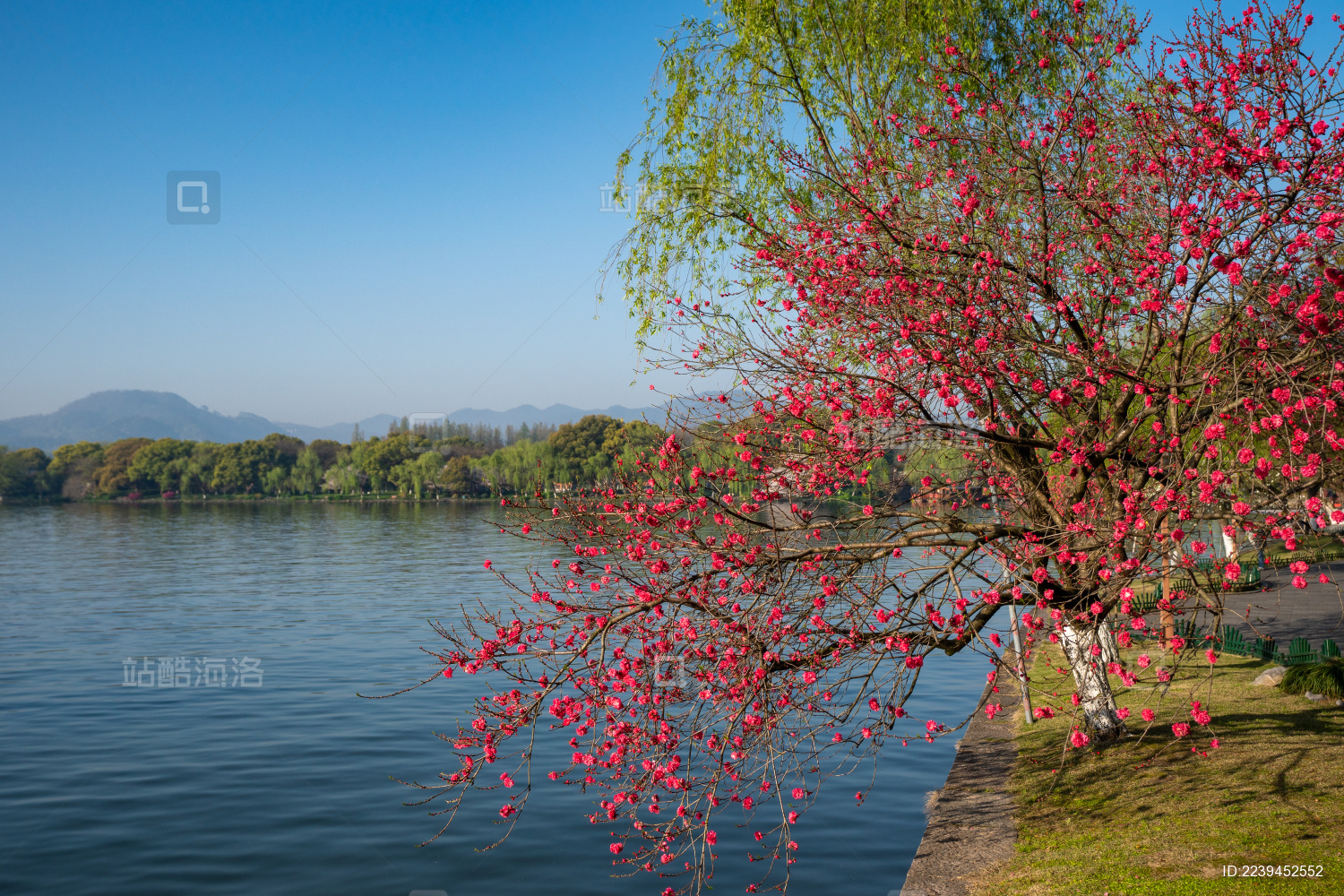 【携程攻略】杭州苏堤景点,苏堤春晓是杭州西湖最出名的景点了吧，沿途有花港观鱼、曲院风荷等好…