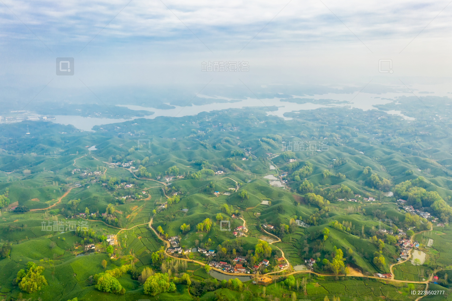 河南信阳南湾湖畔浉河港茶园春季户外航拍