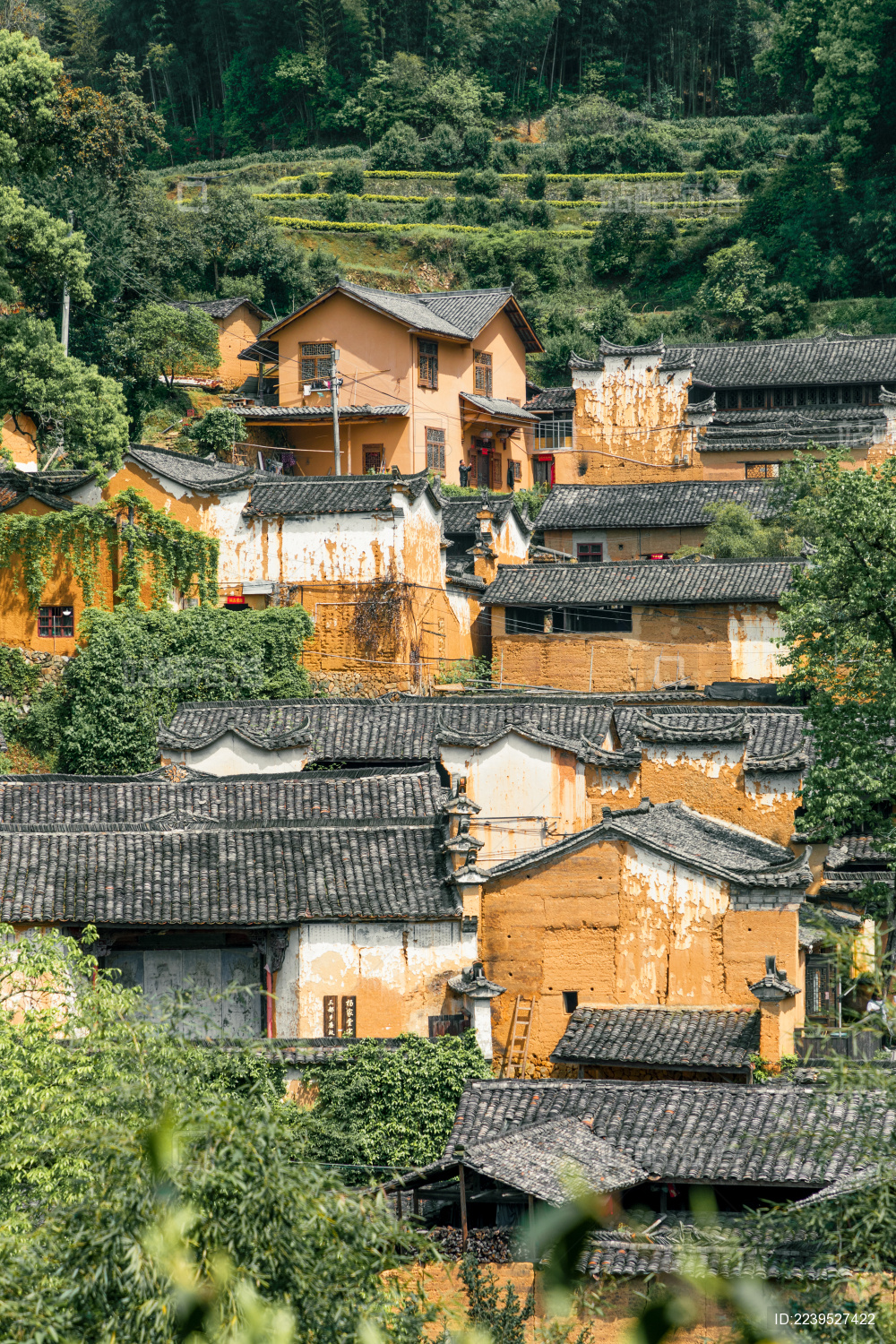 浙江省丽水市松阳县三都乡杨家堂村