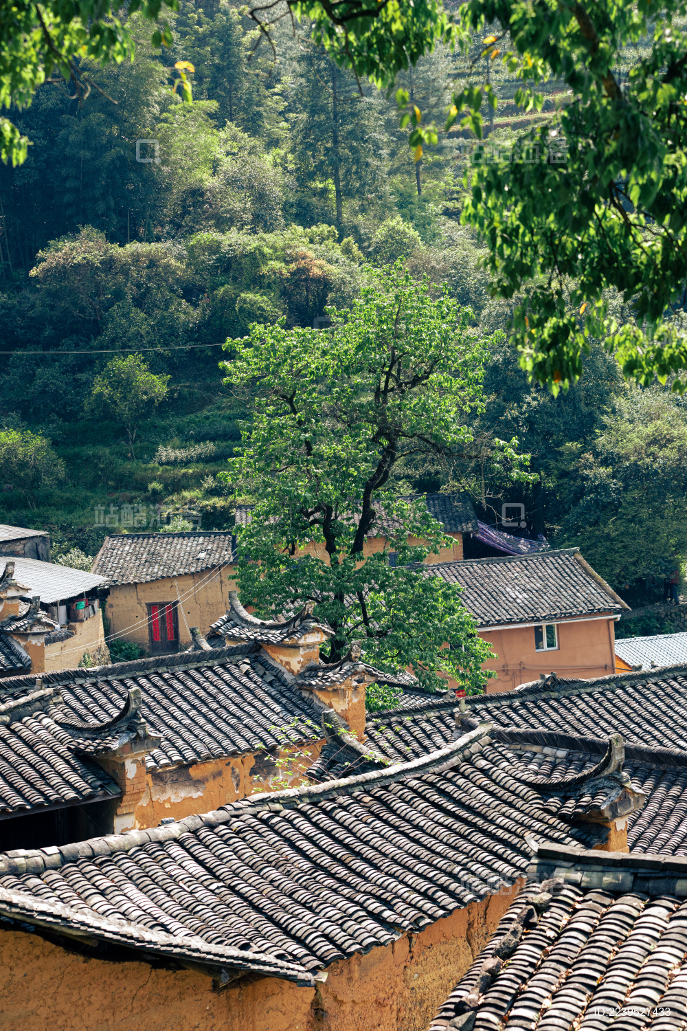 浙江省丽水市松阳县三都乡杨家堂村