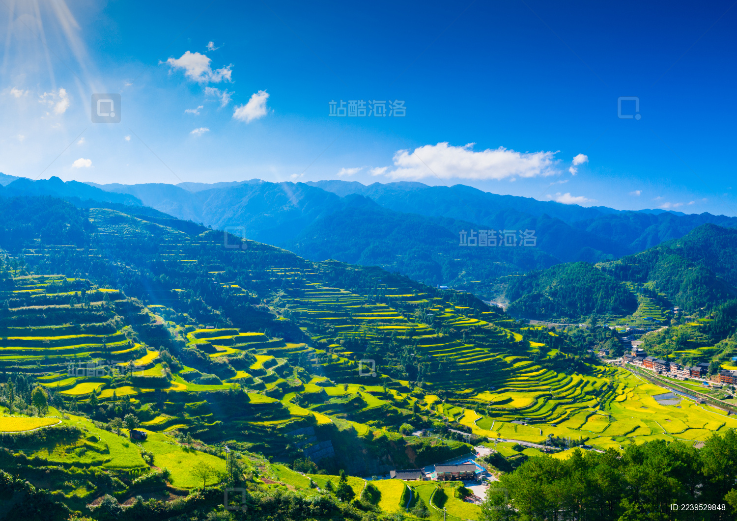 中国贵州省黔东南西江千户苗寨的梯田