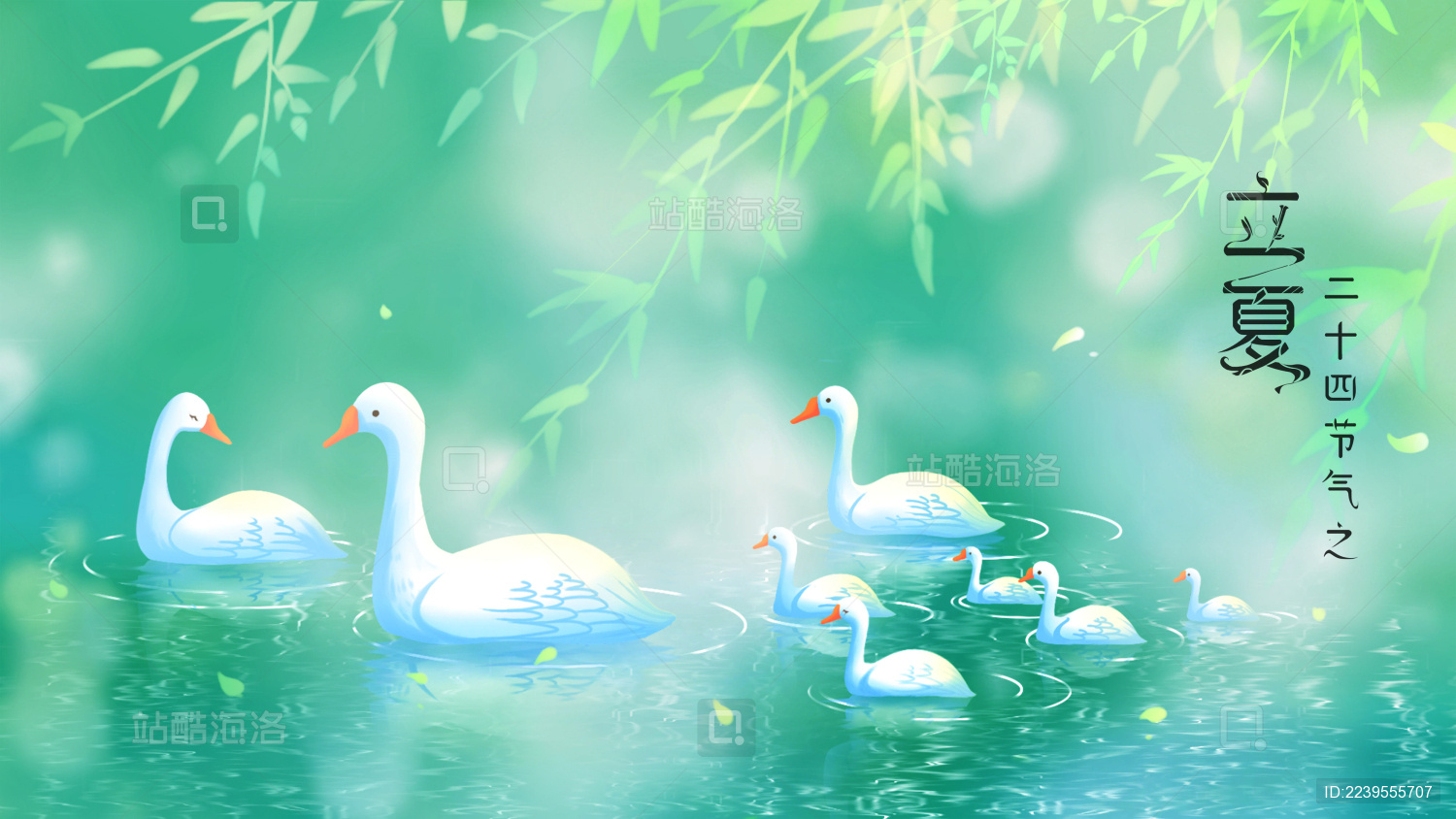 立夏时节阳光斑驳中一群在池水中戏水的白鹅