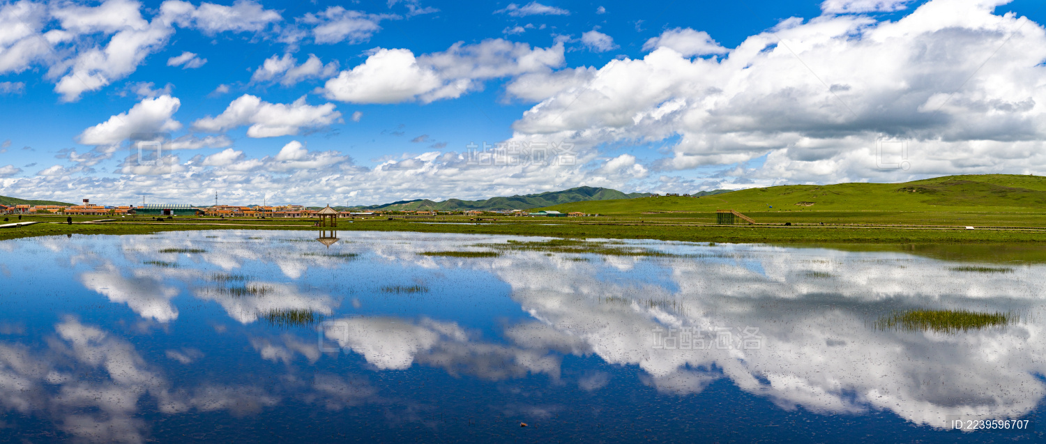 四川阿坝红原日干乔湿地公园的风光