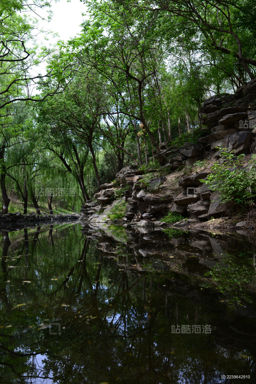 中式园林水中倒影