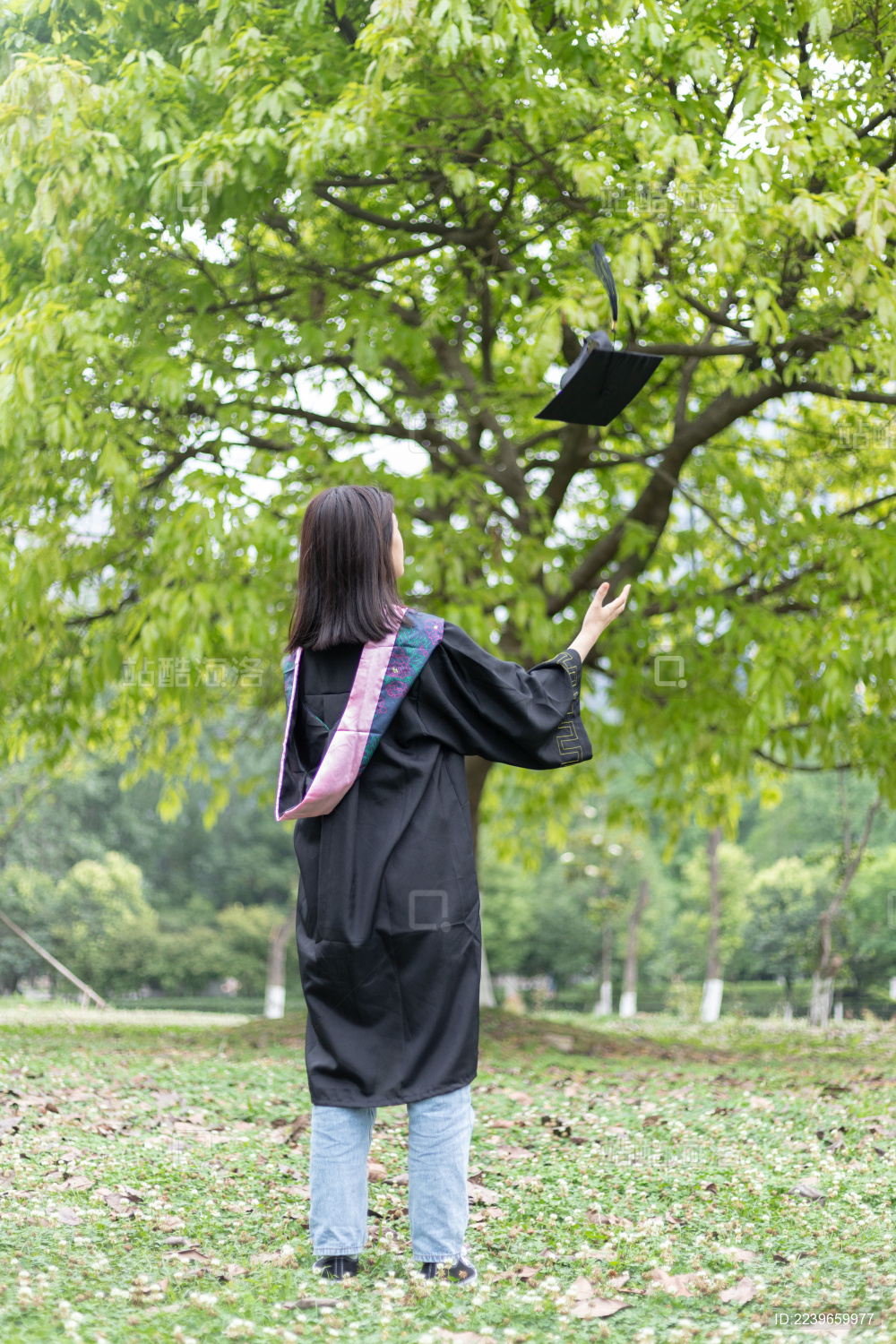 毕业照 学生穿学士服扔帽子背影