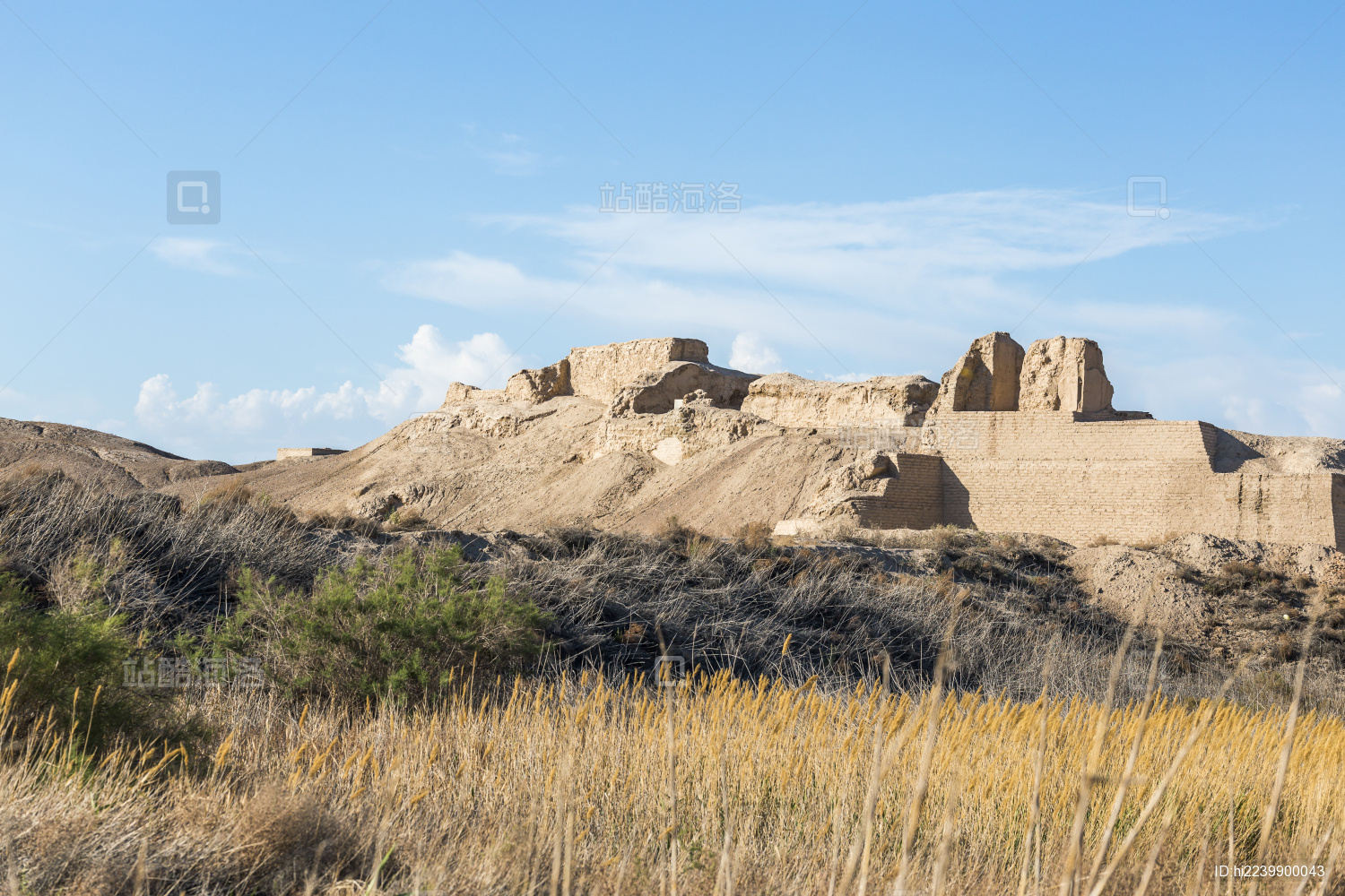 中国新疆焉耆县七个星佛寺遗址