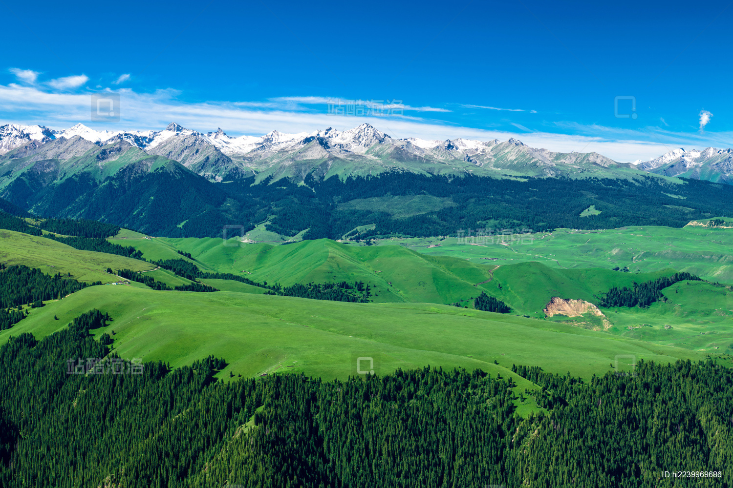 中国新疆伊犁喀拉峻草原雪山