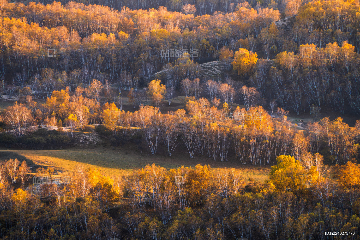 中国内蒙古乌兰布统秋景