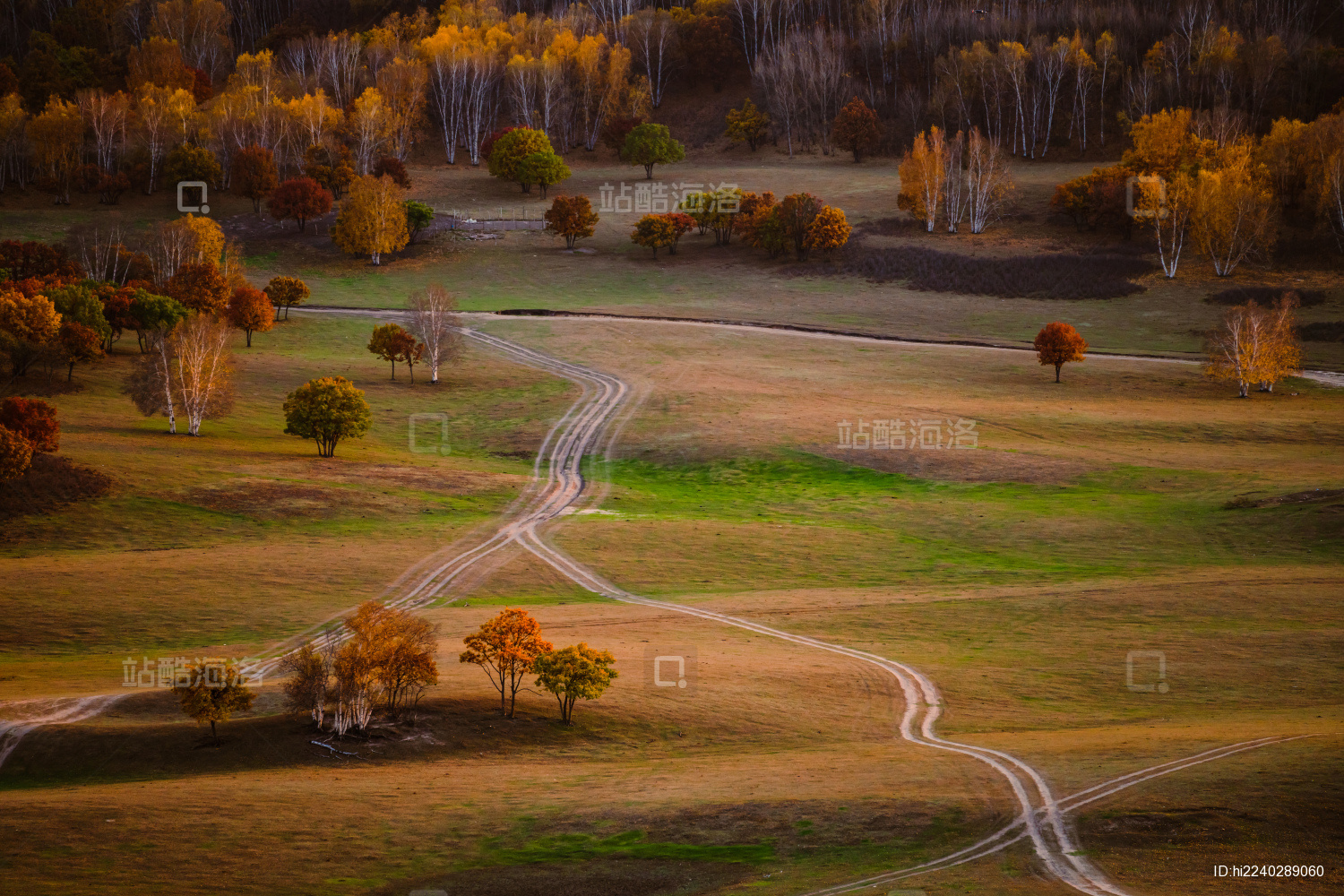中国内蒙古乌兰布统秋色