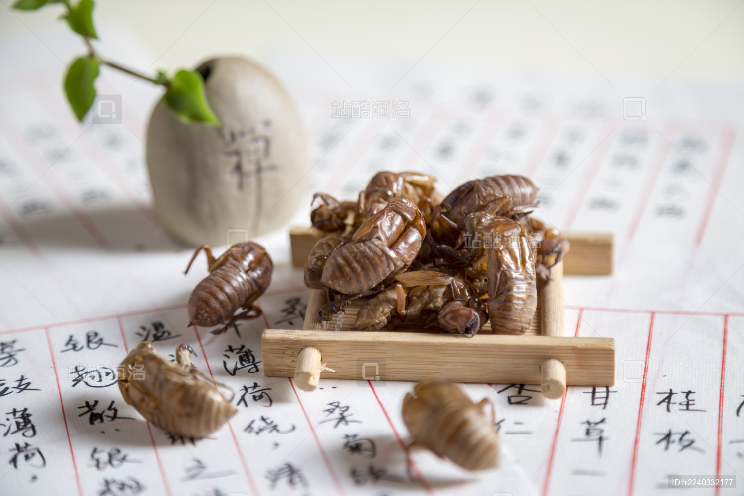 中国古风背景的中药蝉蜕特写