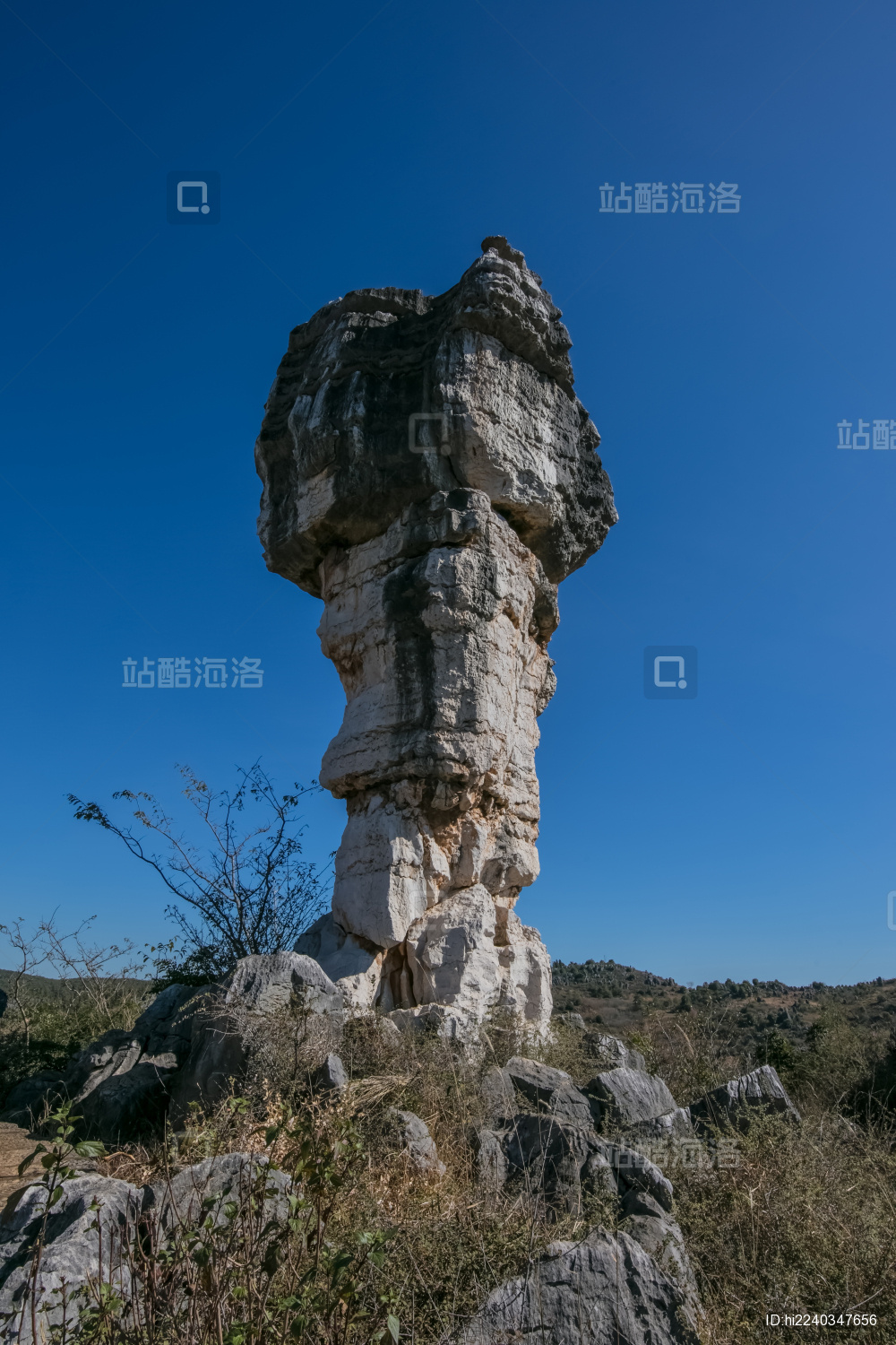 云南省昆明市石林公园万年灵芝岩石自然景观