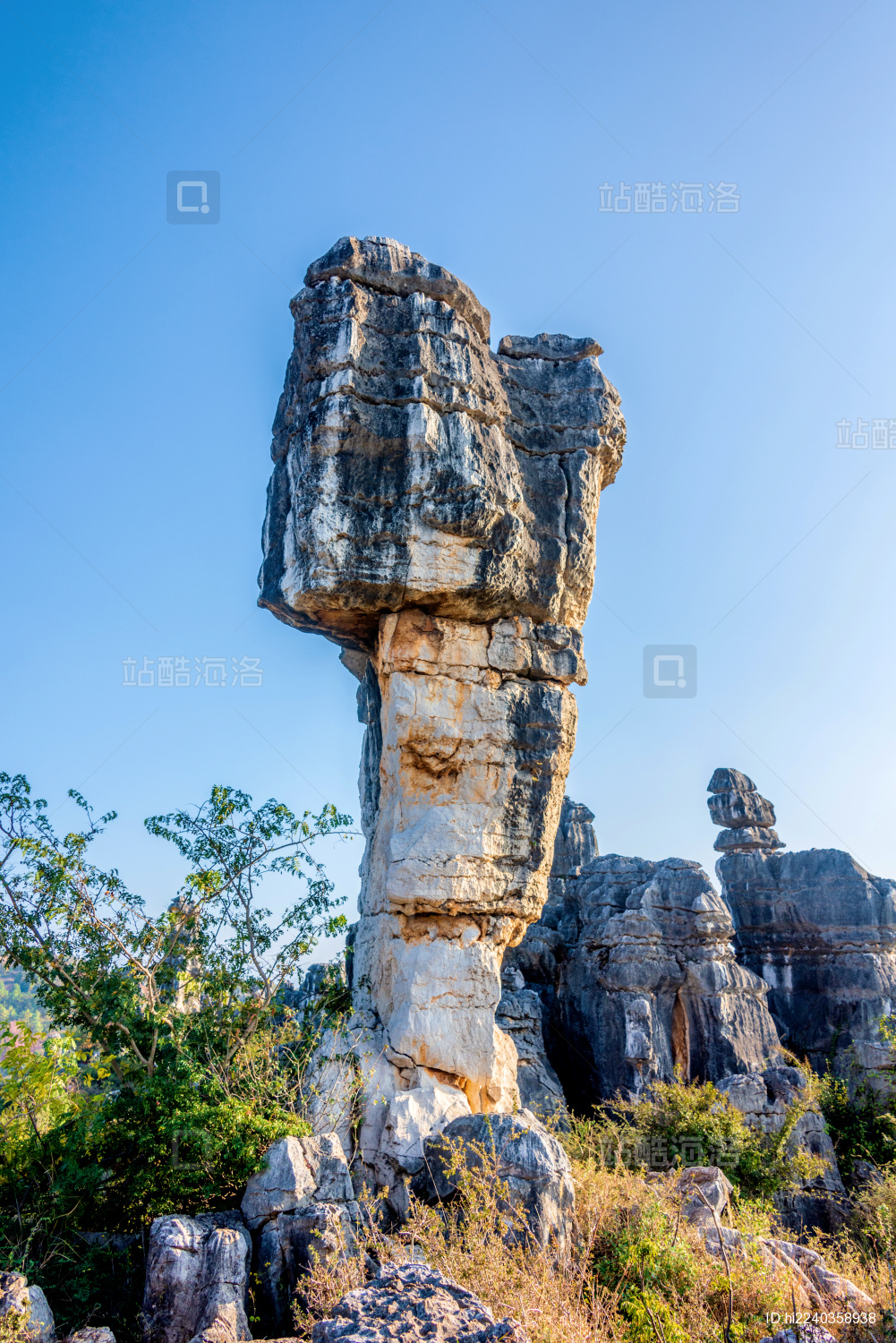 中国云南昆明石林风景区万年灵芝