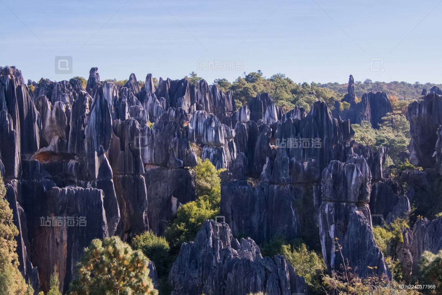 云南省昆明市石林公园步哨山景区岩石自然景