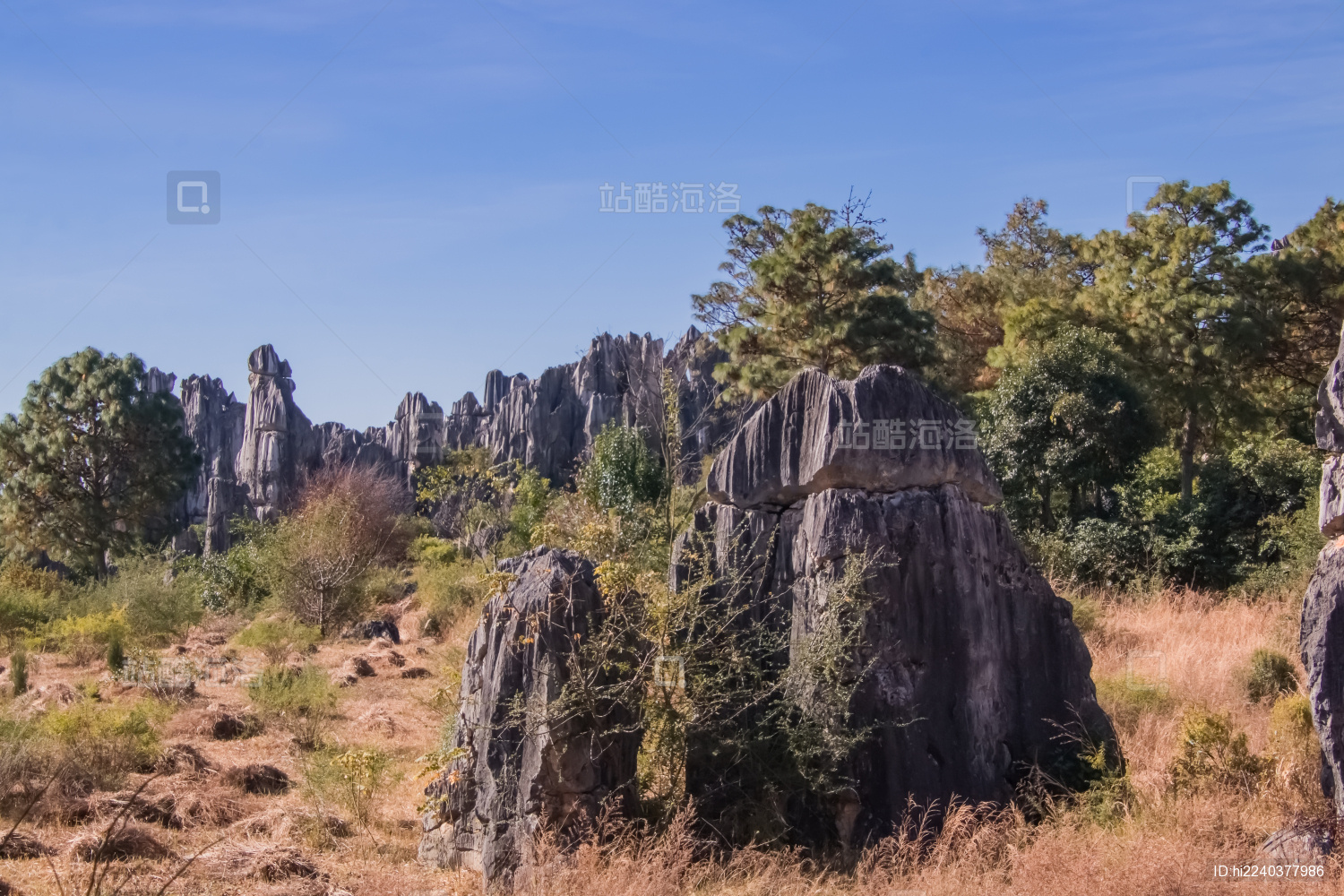 云南省昆明市石林公园步哨山景区岩石自然景