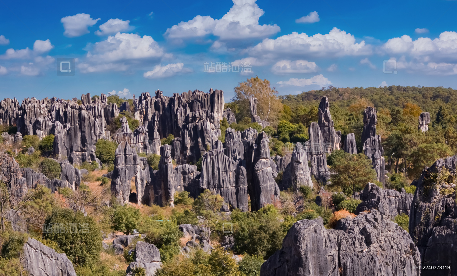 云南省昆明市石林公园步哨山景区岩石自然景