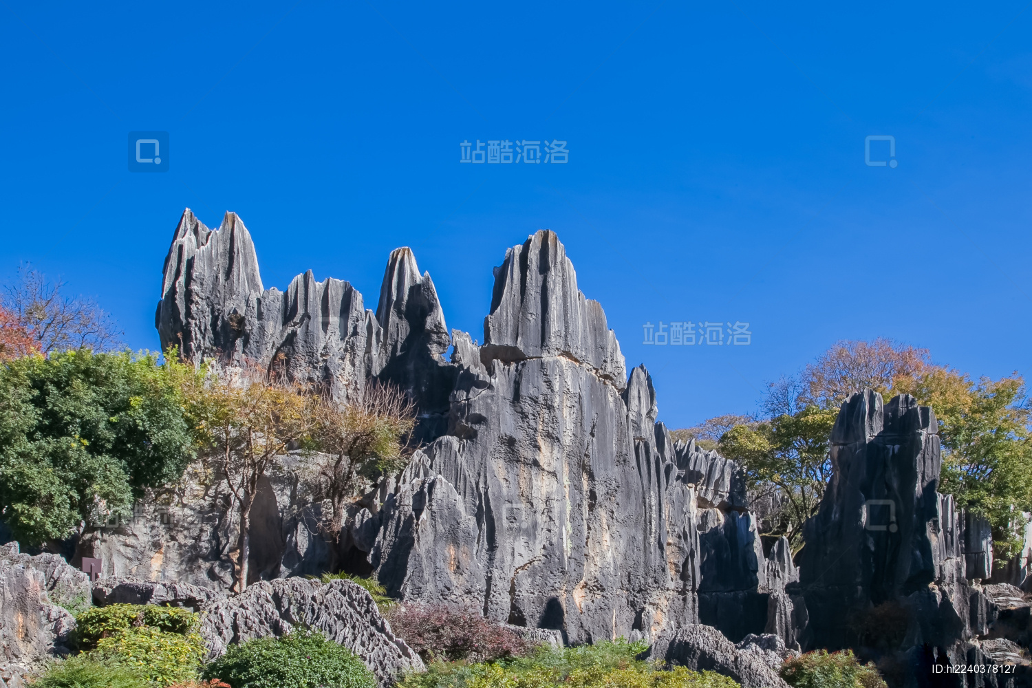 云南省昆明市石林公园万年灵芝景区自然景观