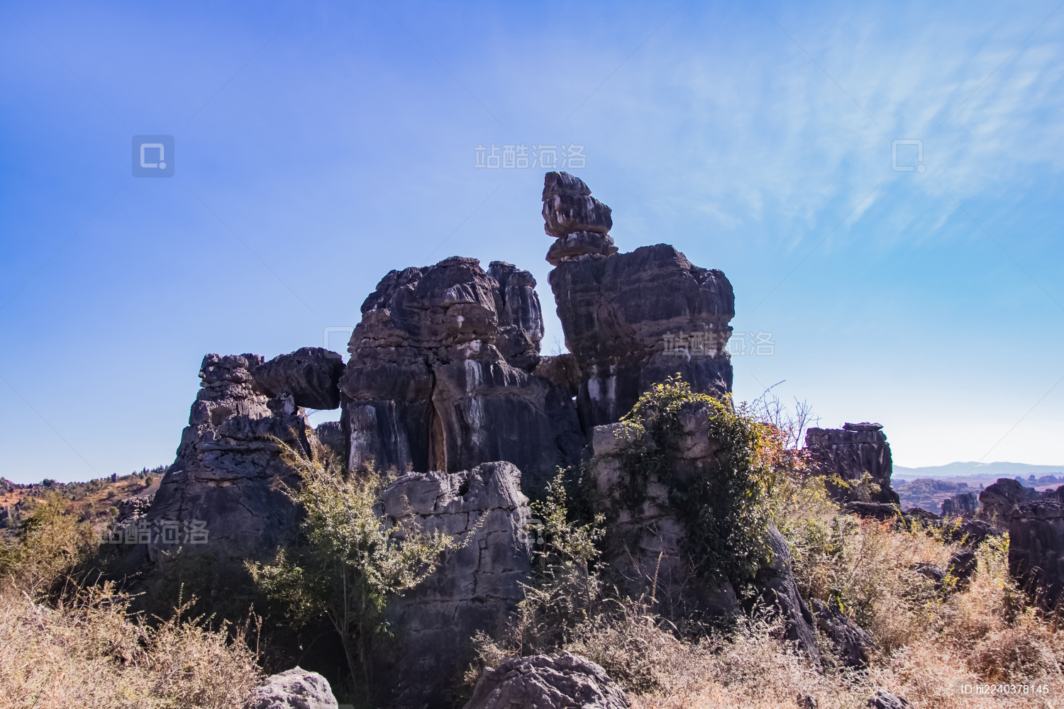 云南省昆明市石林公园万年灵芝景区自然景观