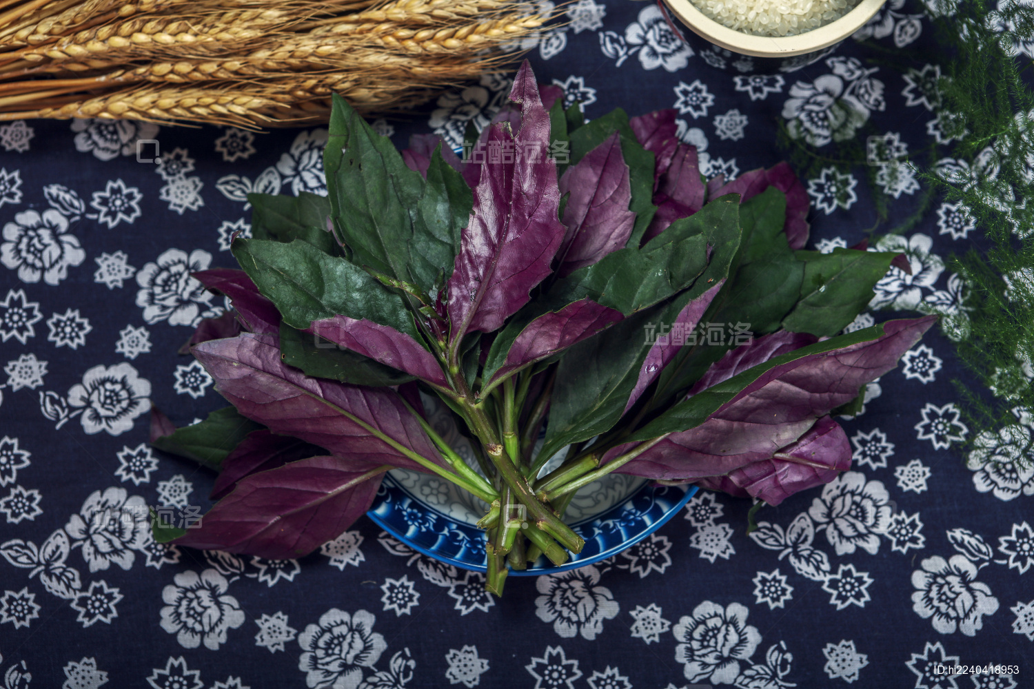 新鲜蔬菜血皮菜