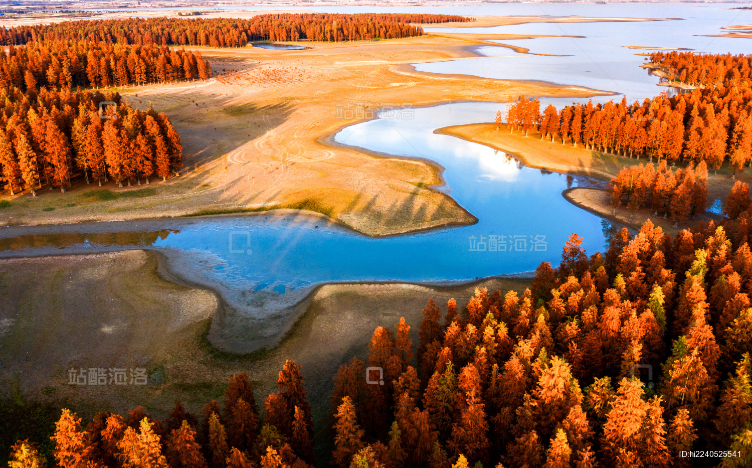 中国安徽省滁州市半塔池杉航拍