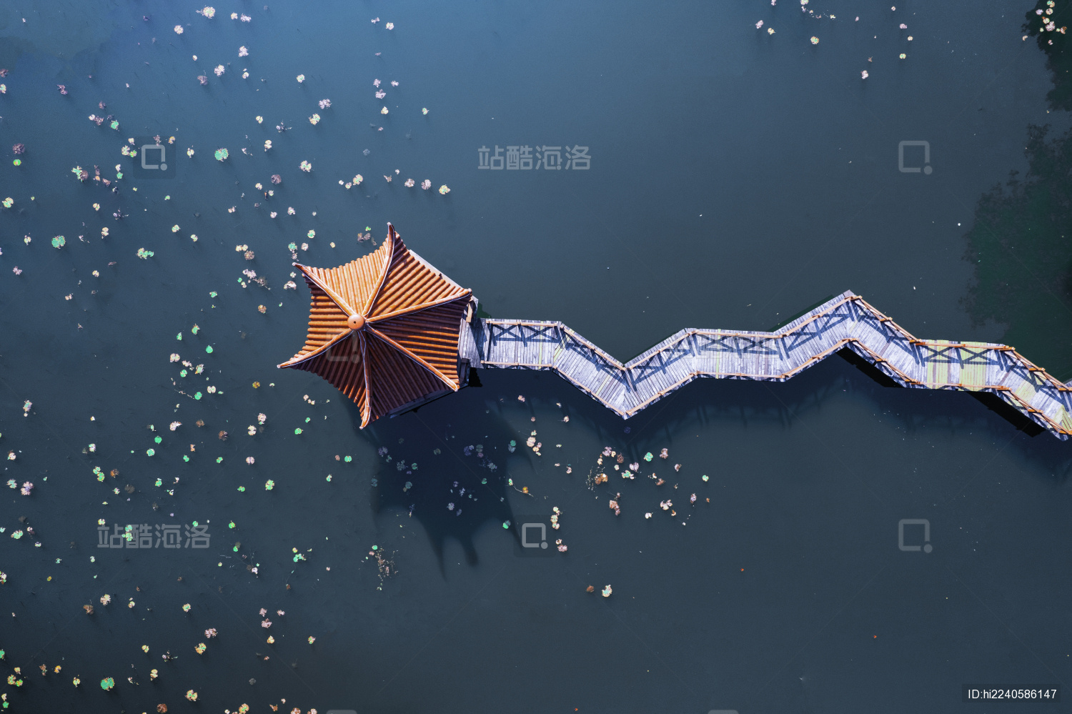 航拍杭州市西湖风景名胜之莳花广场亭台楼阁