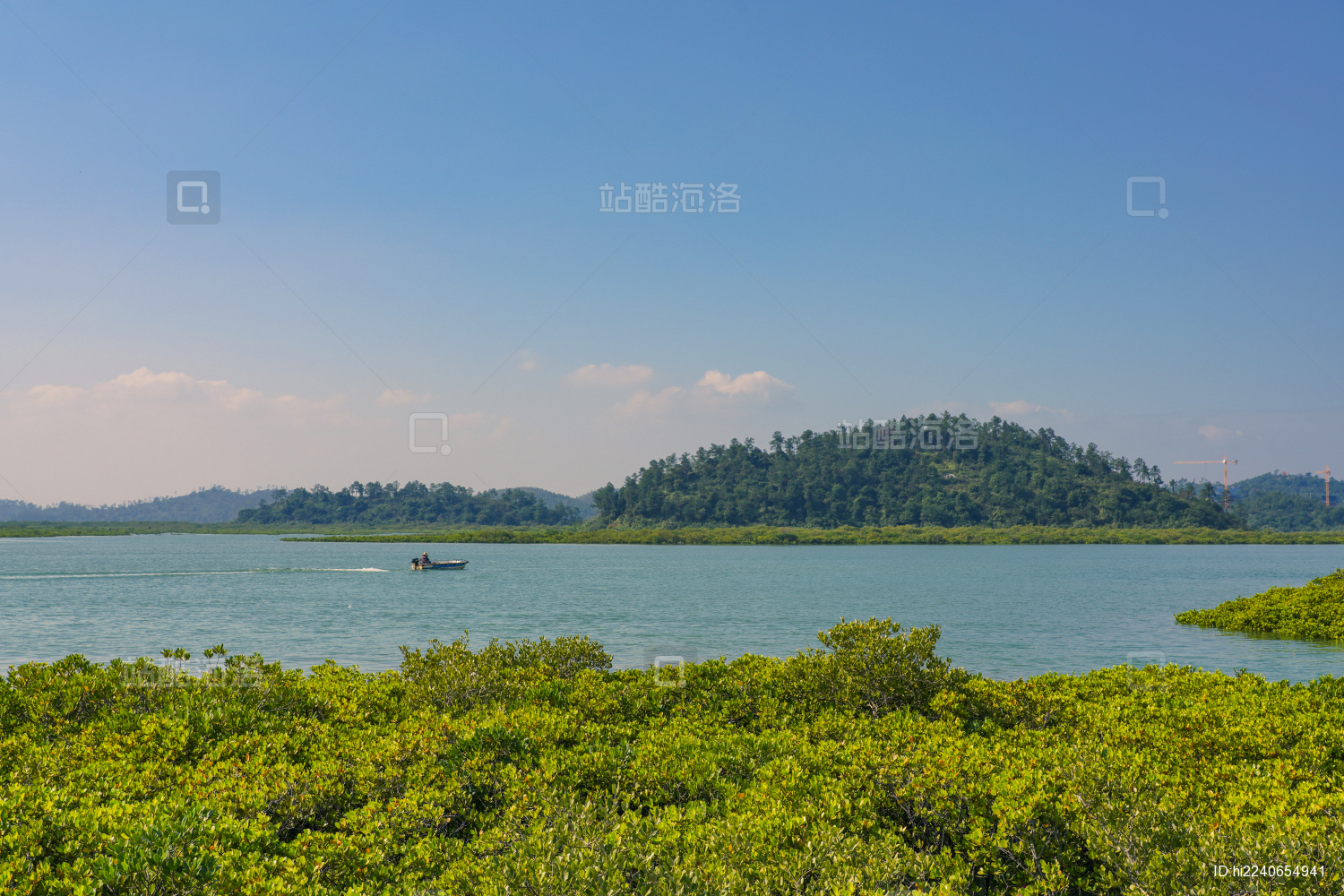 钦州仙岛光影红树林