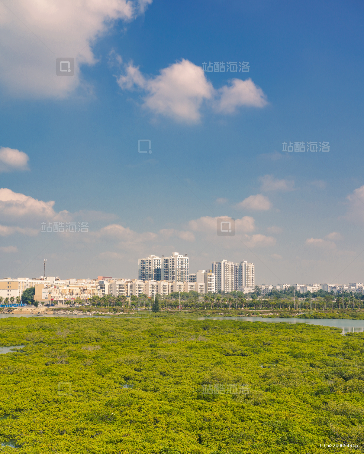 钦州仙岛光影红树林