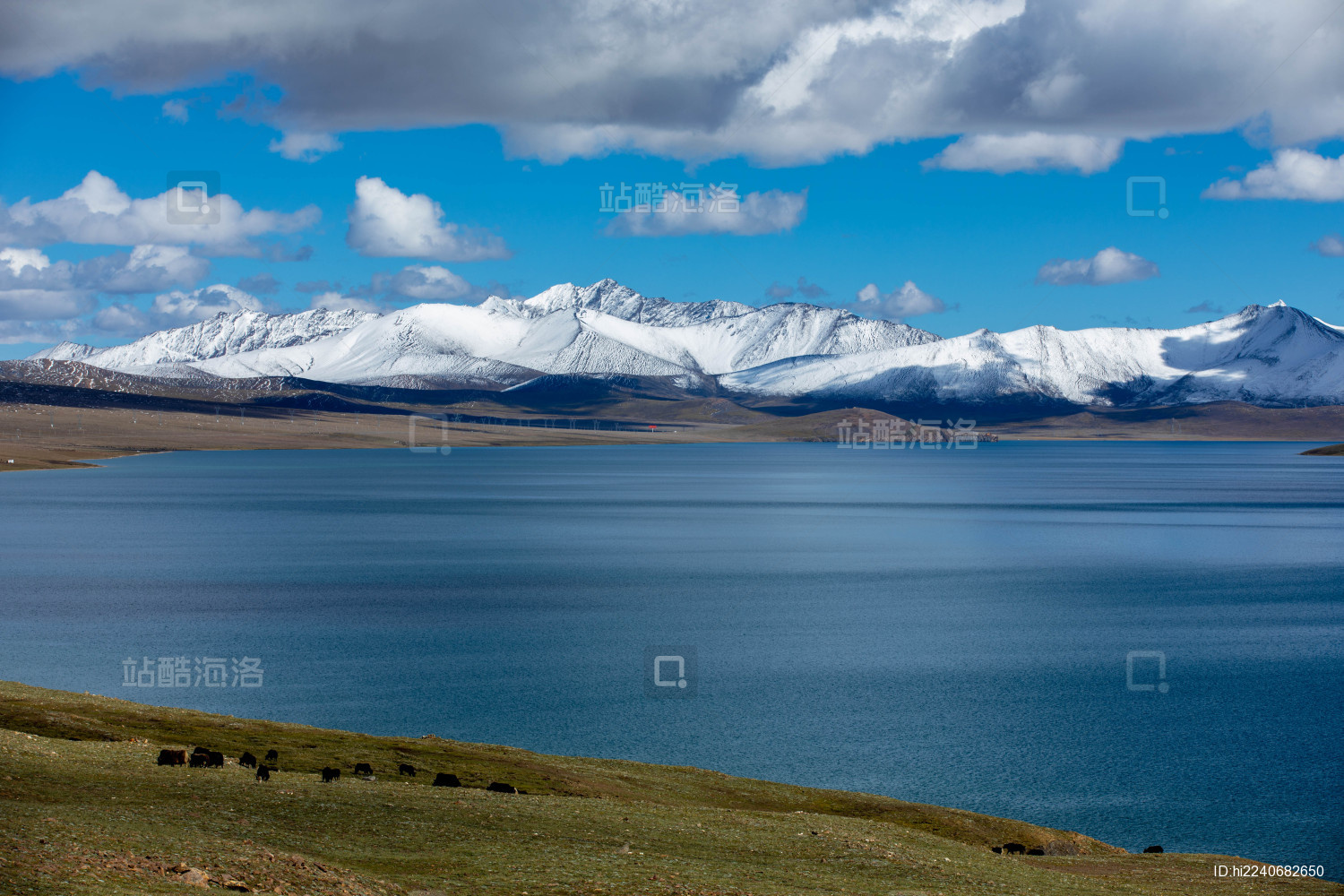 中国西藏普莫雍错风光