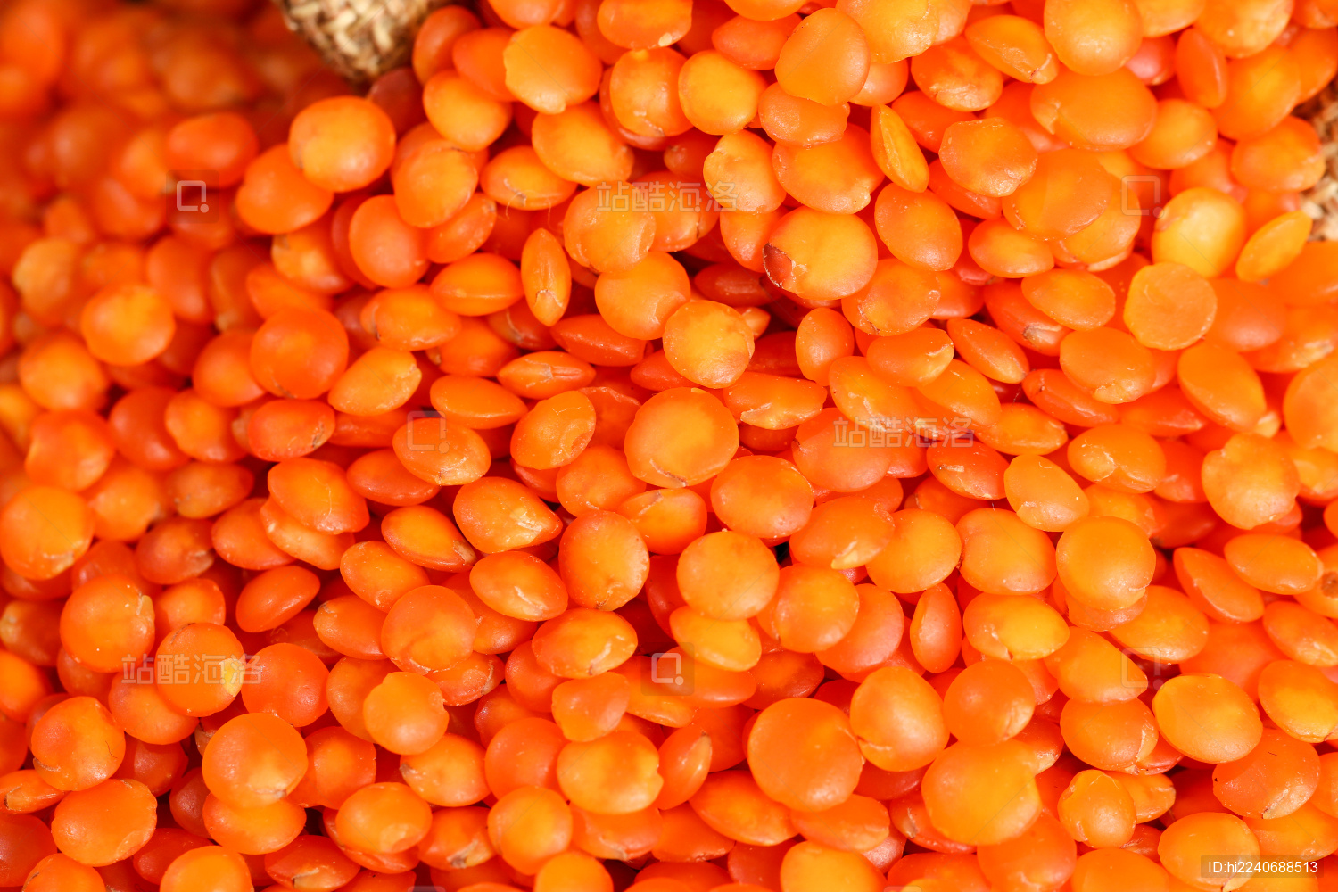 健康蔬菜紫扁豆营养食材摄影图配图高清摄影大图-千库网
