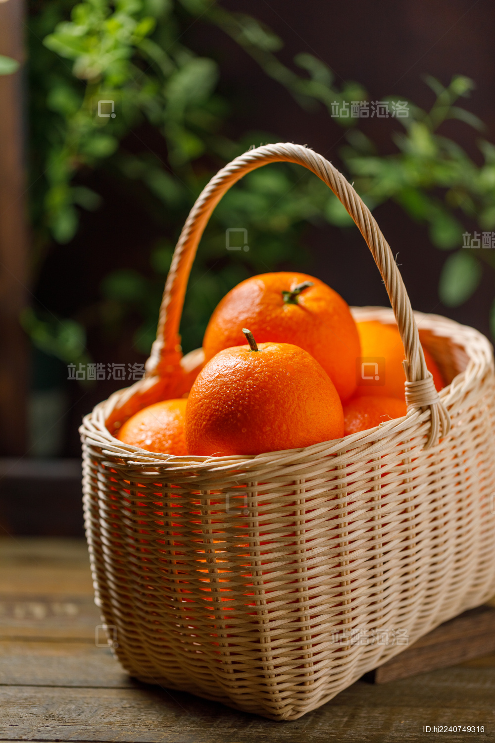 放在木桌上的一竹篮四川凉山雷波脐橙